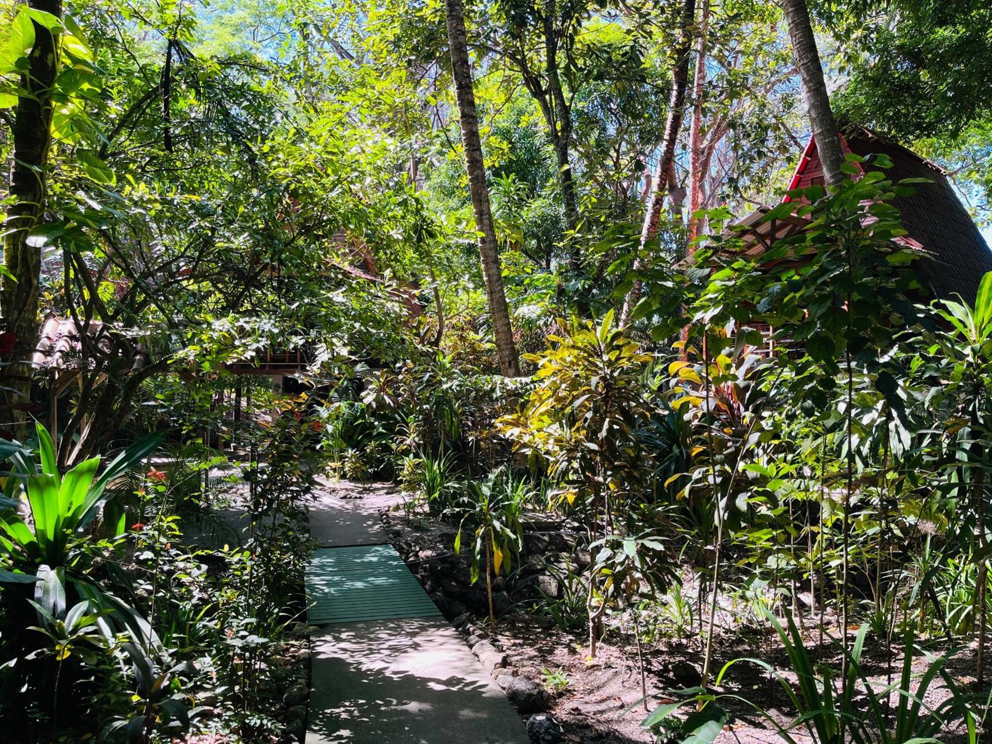 Calala Lodge Cabuya  Экстерьер фото