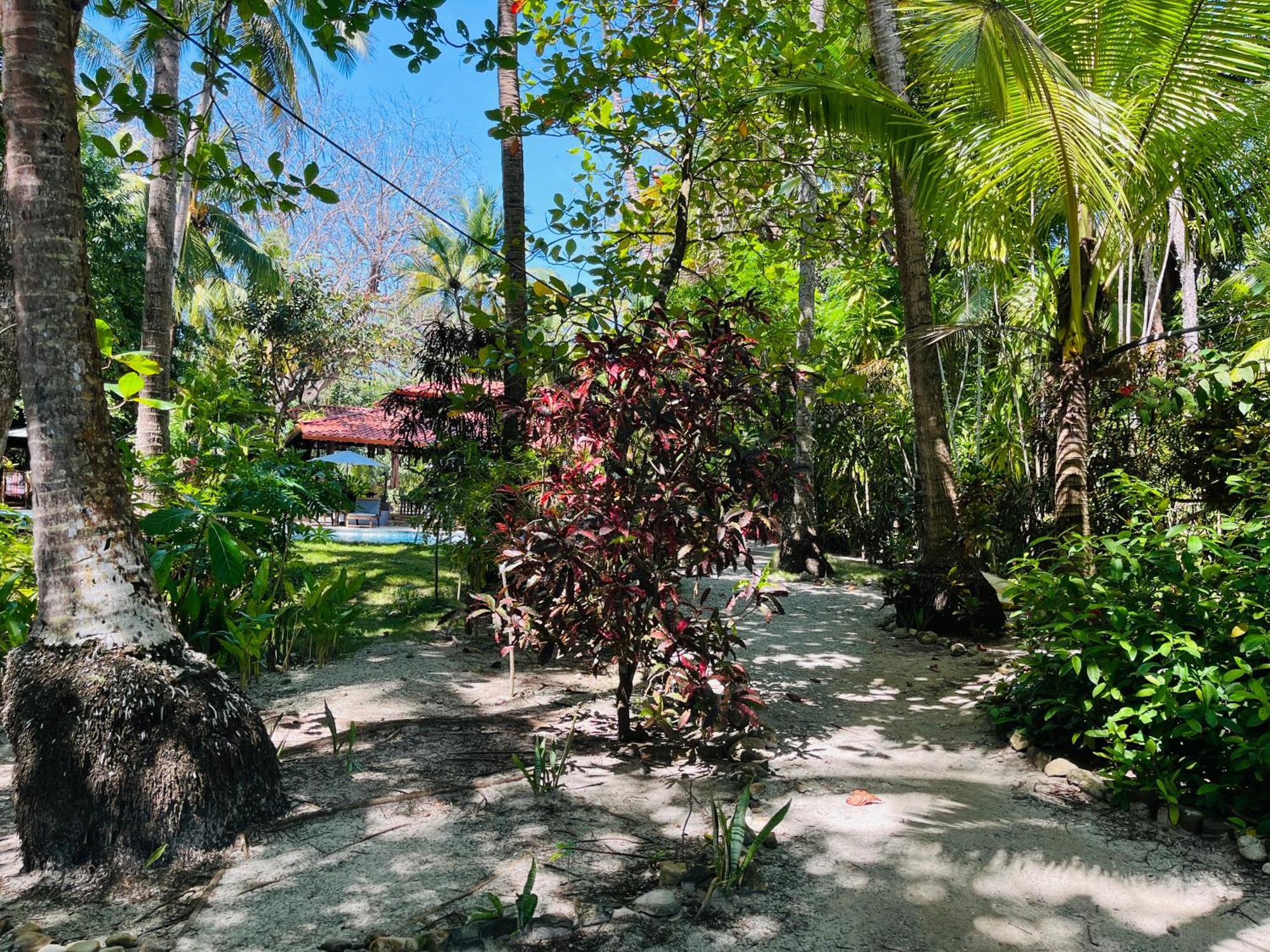 Calala Lodge Cabuya  Экстерьер фото