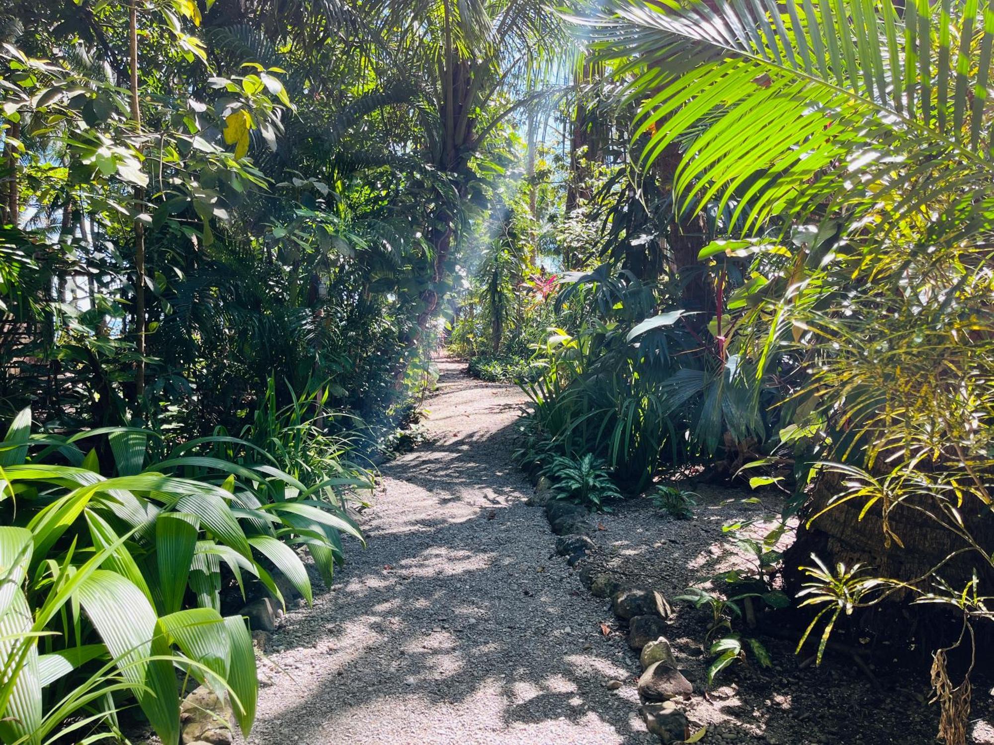 Calala Lodge Cabuya  Экстерьер фото