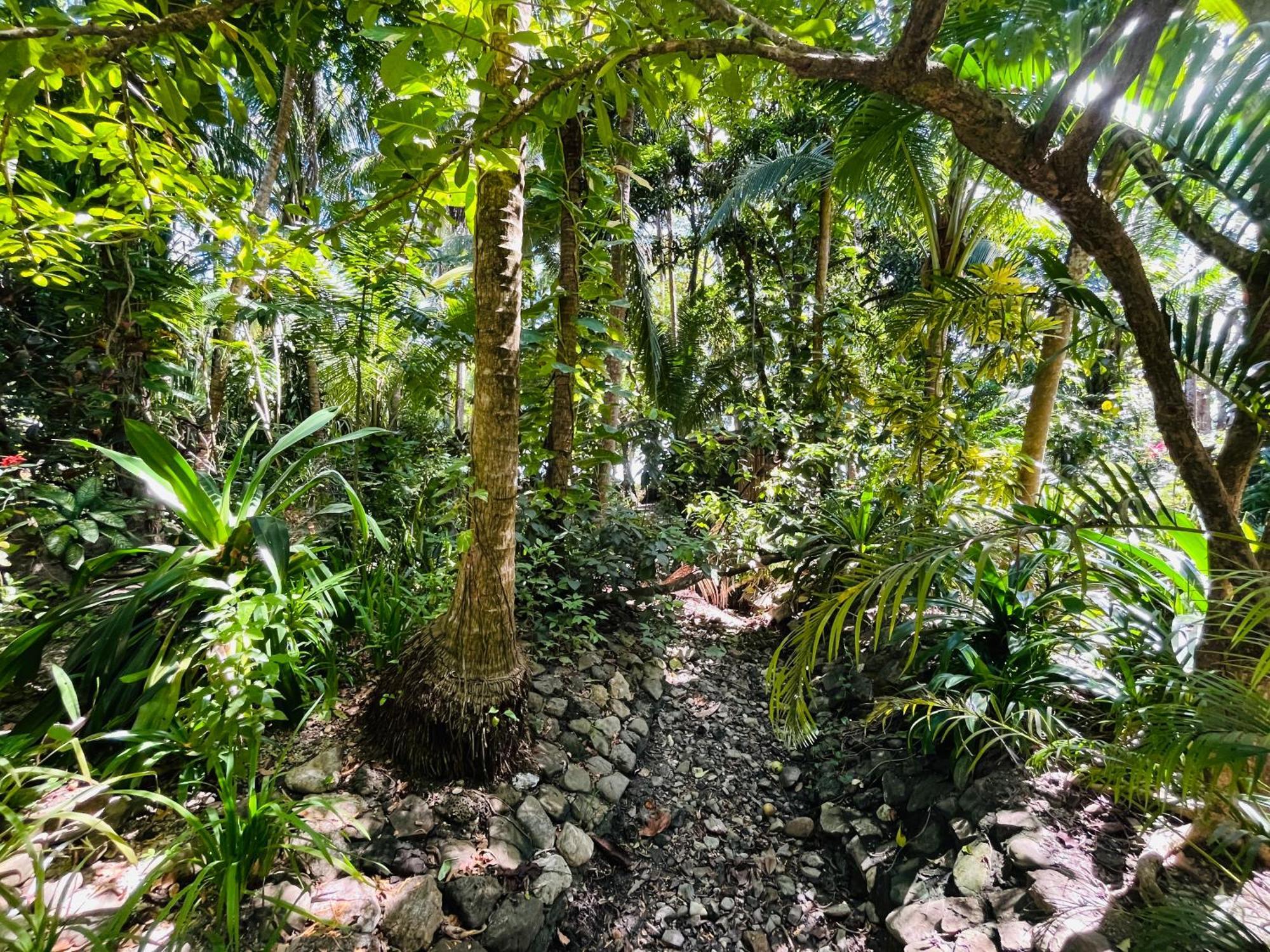 Calala Lodge Cabuya  Экстерьер фото