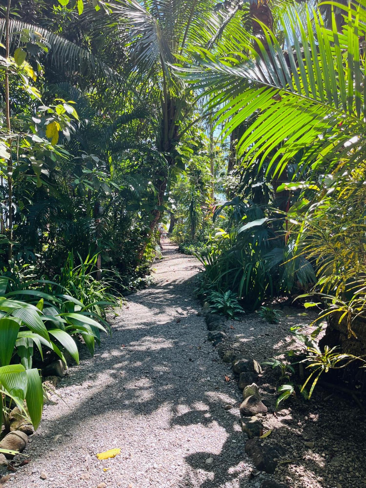 Calala Lodge Cabuya  Экстерьер фото